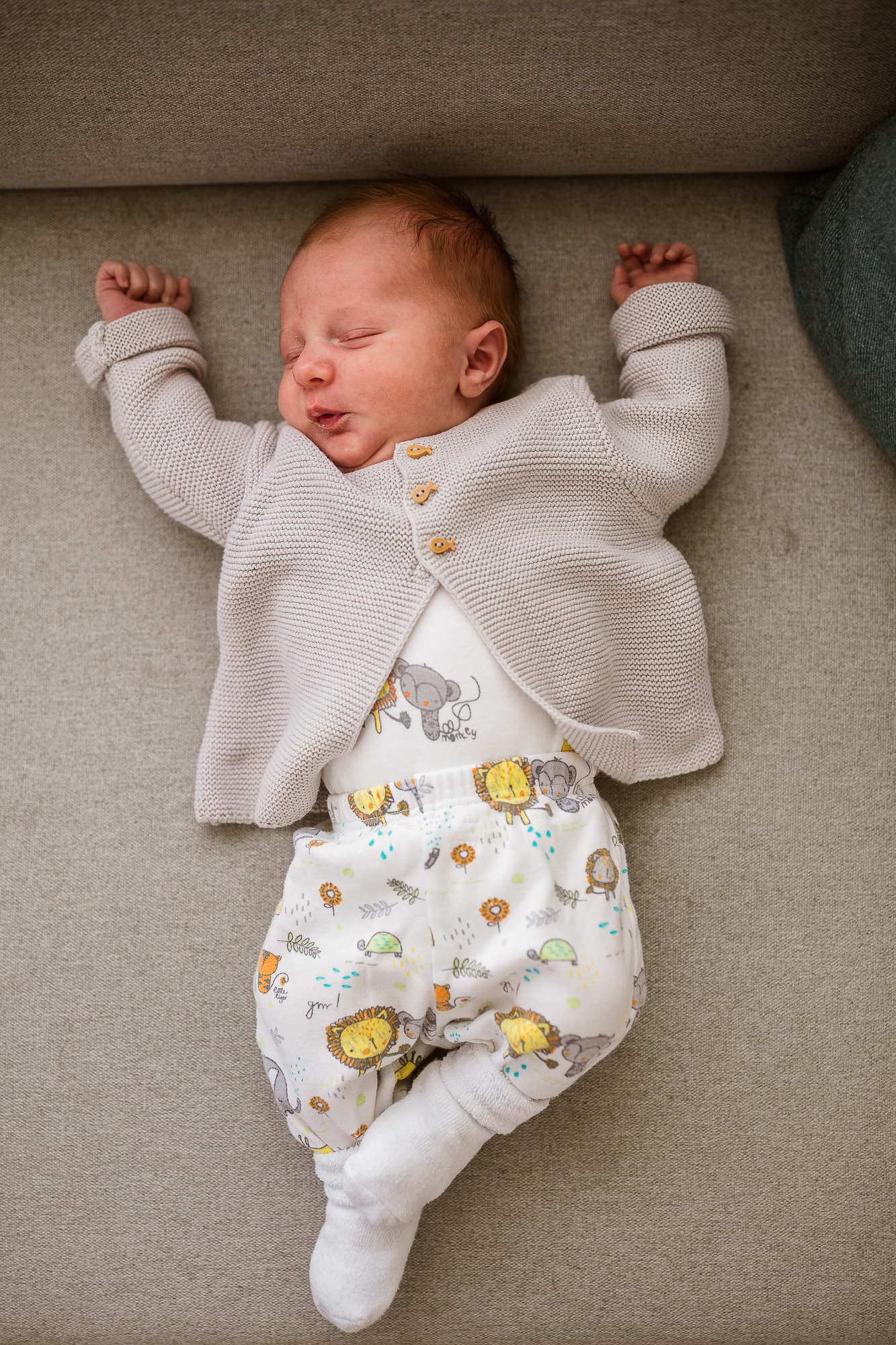 Export x3 5D4 6796 Familienfotoshooting 2019 Hefti